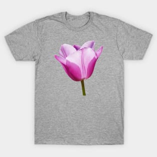 Mauve Tulip T-Shirt